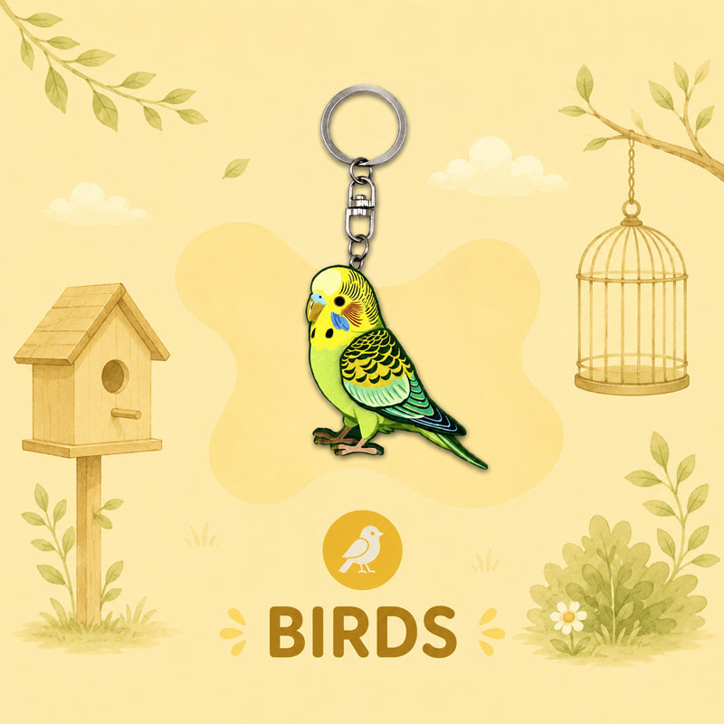 Birds